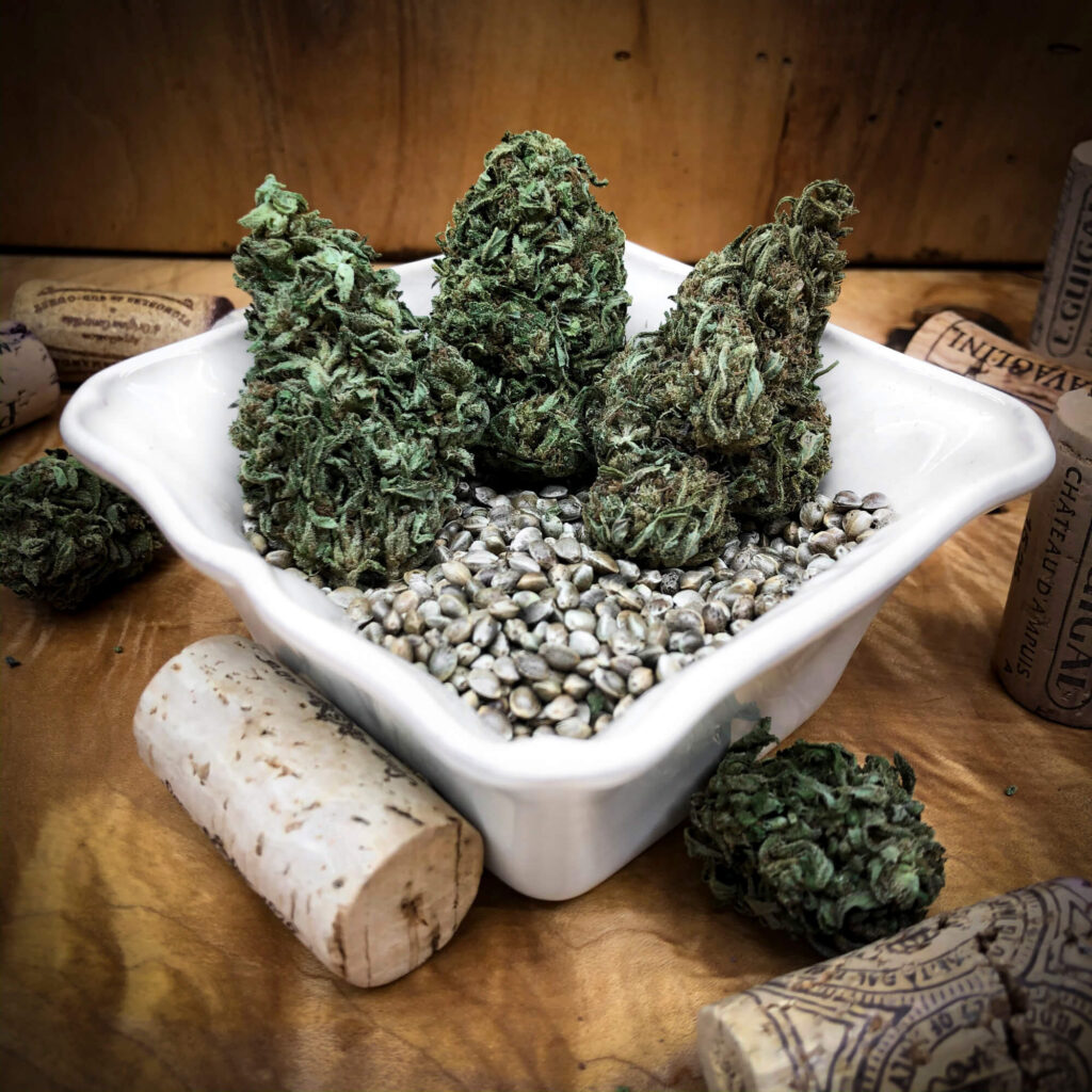 suver haze strain review